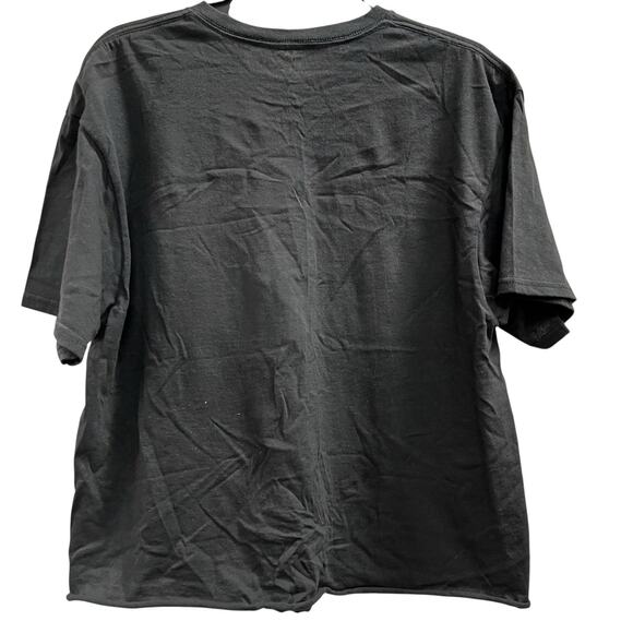 PINK FLOYD Dark Side of the Moon Cropped Band tee plus sz 1X - Picture 2 of 4